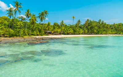 Bienvenue sur le Site Officiel d’IINTECH